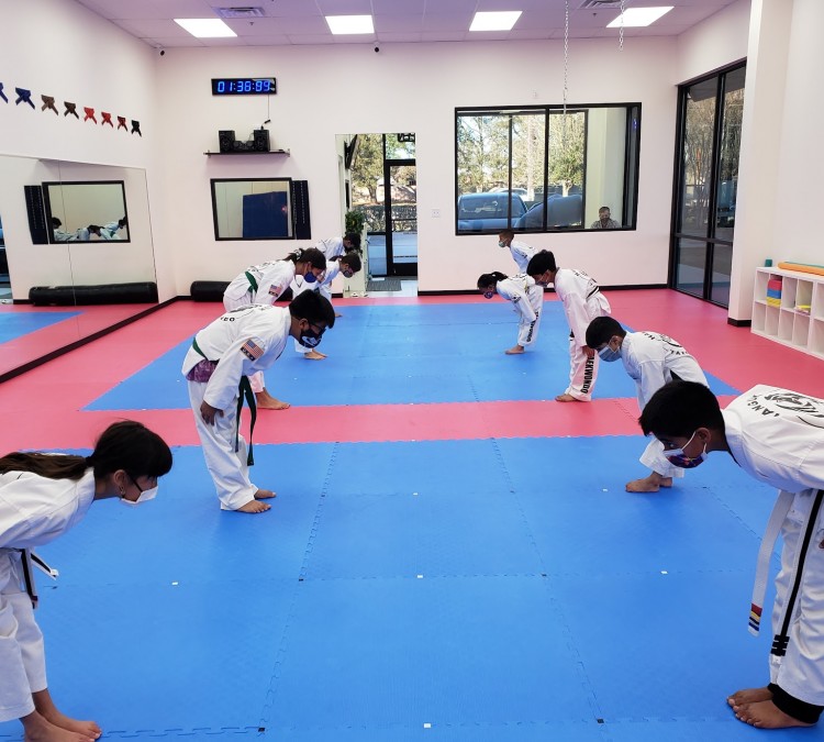 hanguk-taekwondo-photo
